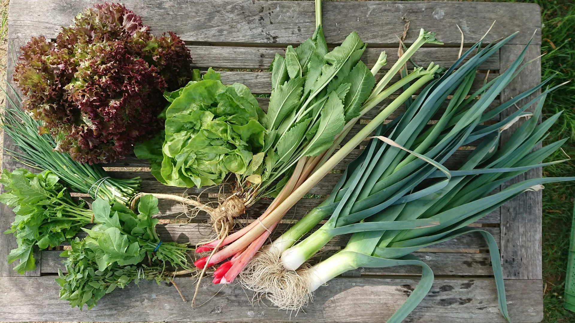 Gedeckter Tisch mit Gemüse aus der Ernte
